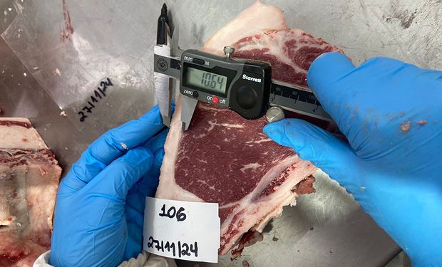 Trabalho também visa combater desinformações sobre a composição das carnes brasileiras e o impacto do seu consumo para a saúde humana