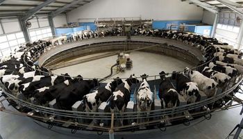 Tambos con más automatización de tareas y manejo de datos