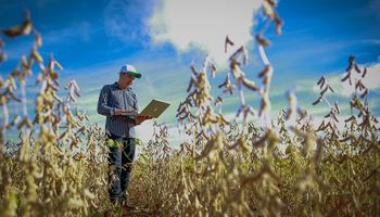 CropLife Brasil lança campanha para incentivar boas práticas agrícolas e sustentabilidade no campo