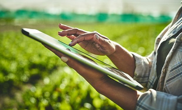 Internet de las Cosas: cuáles son las soluciones de conectividad para el campo