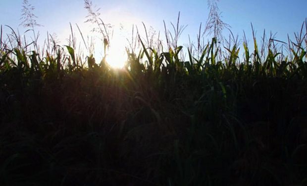 Se espera que las temperaturas ganen aún más protagonismo durante el fin de semana