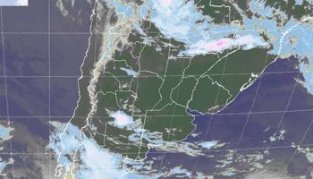 Temperatura máxima cercana a los 35°C