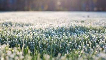 Temperaturas: el frío se afianza y atrae a la estabilidad
