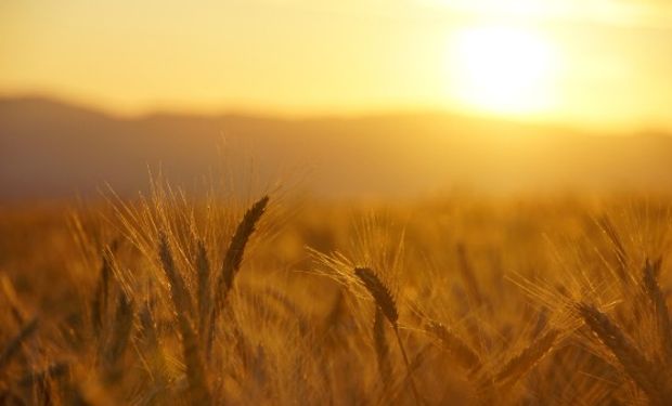 Mirá el pronóstico climático trimestral del SMN.