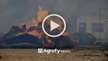 Incendio y destrucción total en una planta algodonera