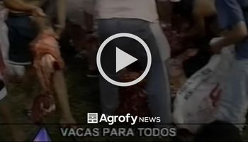 Imágenes sensibles: así se peleaban por la carne en Rosario tras la crisis de 2001