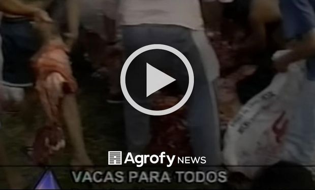 Imágenes sensibles: así se peleaban por la carne en Rosario tras la crisis de 2001
