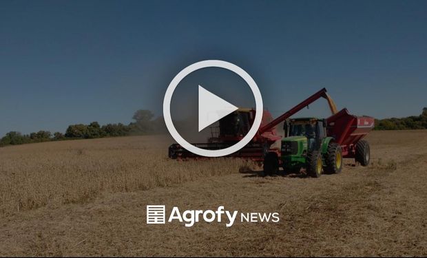 Ranking 2021: los 10 videos más virales del agro