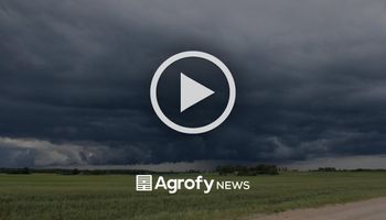 Lluvias: qué dice el pronóstico para los próximos días