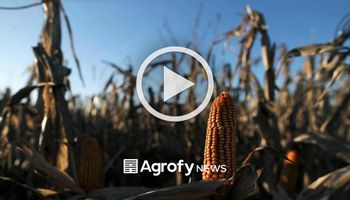 El campo da, el Gobierno quita