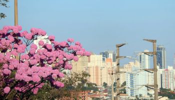 Brasil enfrenta onda de calor e temperatura pode chegar a 40°C