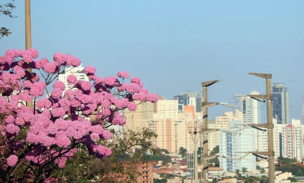 Tempo: com onda de calor, temperatura no DF pode chegar a 34°C