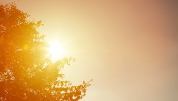 Tempo seco predomina em São Paulo e Minas; frente fria avança pelo Sul