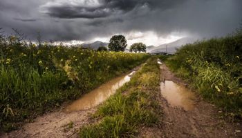 Chuva e risco de temporais isolados marcam a quarta-feira no Sul do Brasil