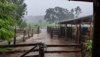 Fim de semana terá temporais: veja onde a chuva será mais intensa no Brasil