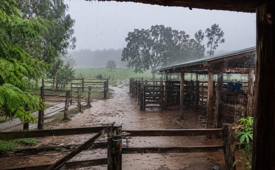 Previsão indica chuva forte, trovoadas, rajadas de vento e risco de granizo entre sábado e domingo em algumas regiões