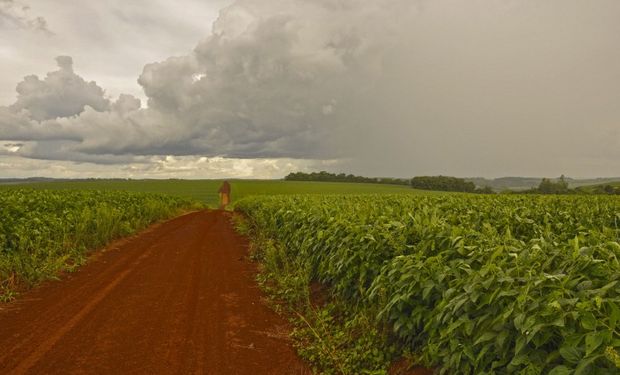 Instabilidades atmosféricas aumentam o risco de pancadas fortes de chuva e temporais em diversas regiões do Brasil. (foto: Foto: Fernando Dias/Seapdr)