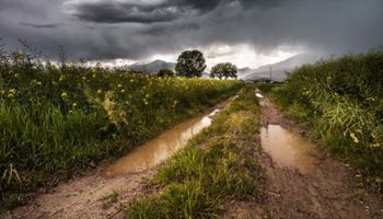 Temporais no Sudeste e Norte marcam a previsão do tempo desta quinta