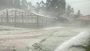 Santa Catarina anuncia força-tarefa e pacote de investimentos para reconstrução e apoio ao agronegócio