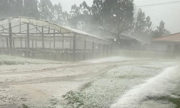 Santa Catarina anuncia força-tarefa e pacote de investimentos para reconstrução e apoio ao agronegócio