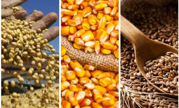 Datos del informe de mercados agrícolas de la Bolsa de Cereales de Córdoba.