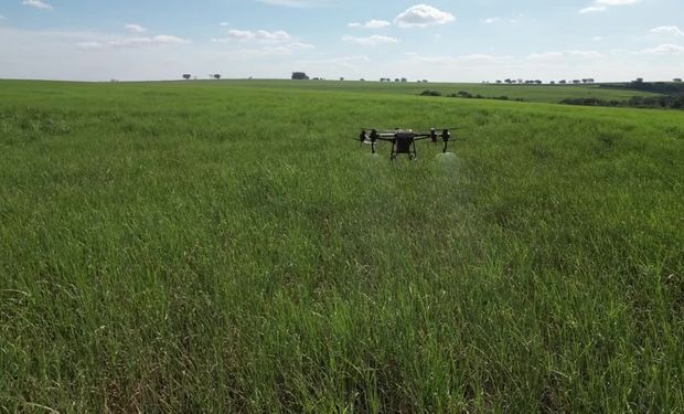 Tereos elimina métodos manuais para aplicar biológicos 100% por drones