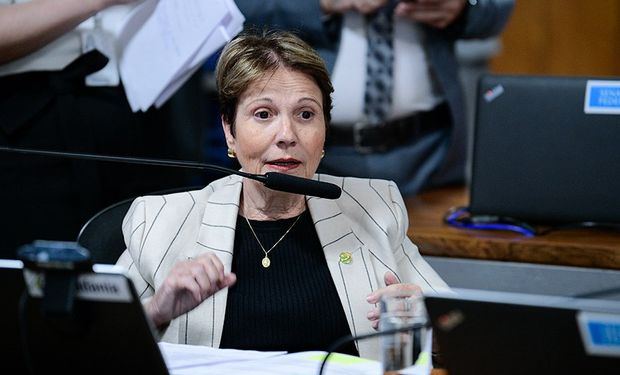 O PLP 91/2023, de Tereza Cristina, recebeu relatório favorável de Ciro Nogueira e segue para o Plenário. (Foto - Pedro França/Ag. Senado)