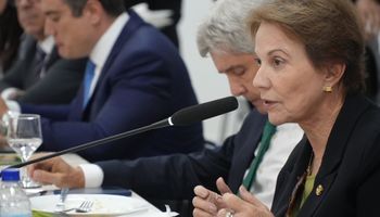 Fundo garantidor pode destravar até R$ 200 bilhões para renegociação de dívidas rurais