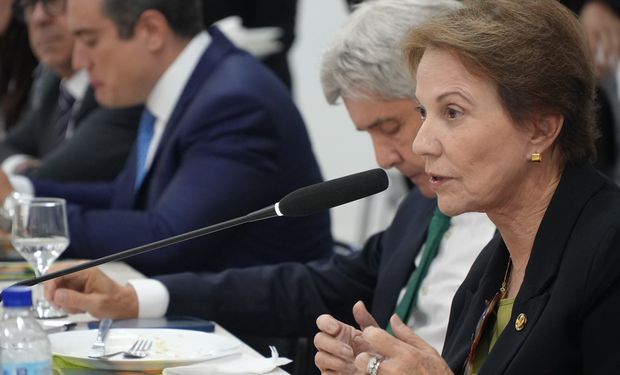 Tereza Cristina defende criação de fundo garantidor para ampliar crédito e viabilizar renegociação de dívidas rurais no país.