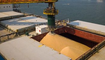 Justiça condena terminal portuário a pagar R$ 2 milhões após trabalhador ser soterrado por farelo de soja