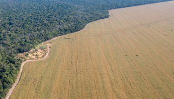 Tensão no campo: FAEP reforça que produtor não é obrigado a vender terras à Itaipu