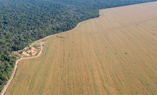 Tensão no campo: FAEP reforça que produtor não é obrigado a vender terras à Itaipu