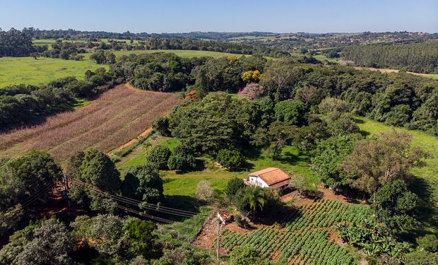 Qual cidade tem a terra rural mais valorizada de São Paulo?