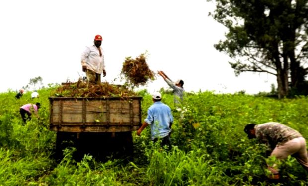 Em meio a polêmicas, Terra da Gente tem primeira área definida de reforma agrária