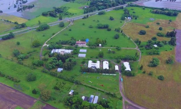 La zona en donde las lluvias marcaron más de 500 milímetros en pocos días y se volvieron un desafío para el campo: qué dicen los especialistas