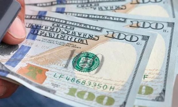  Dólar hoy: a cuánto cotiza el dólar blue, CCL y MEP y a cuánto quedan del dólar Banco Nación este 23 de enero