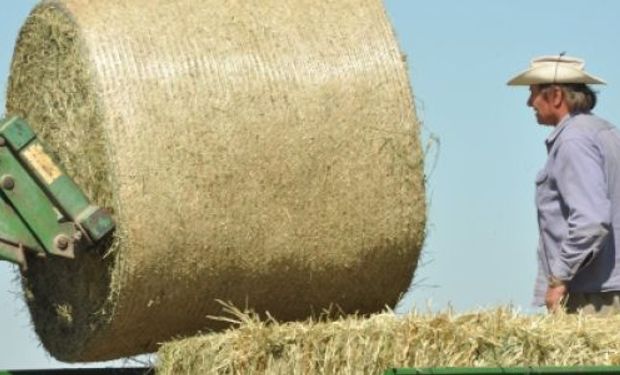 En el 2.° Congreso Mundial de Alfalfa brindarán pautas de adecuación del producto para la demanda internacional.