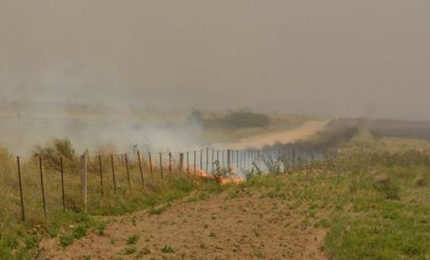 Áreas arbustadas, elevadas temperaturas y escasas precipitaciones, entre las causas.