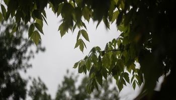 Perspectivas climáticas: el impacto en los cultivos del comienzo del otoño