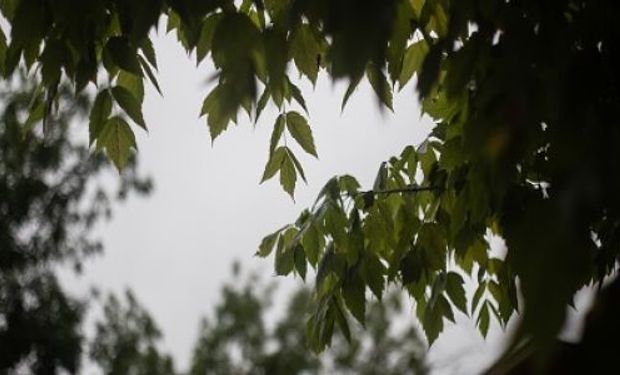 El otoño comienza con buenas perspectivas climáticas.