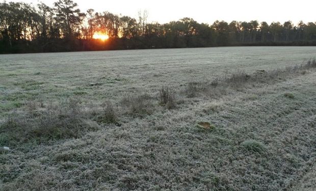 El invierno se instala en la región centro: que temperaturas anticipa el pronóstico del tiempo