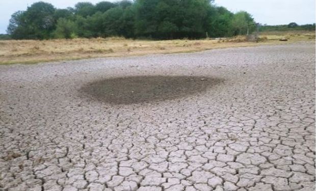 El Tiempo Extremo que advertía Aiello se está cumpliendo: qué puede pasar ahora