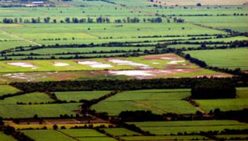Advierten que la Ley de Tierras frena inversiones por u$s 10.000 millones