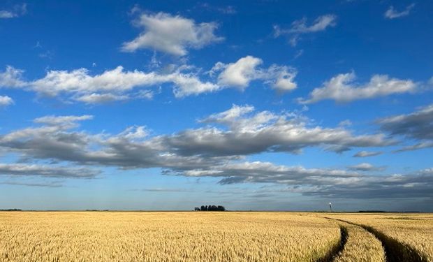 De 1995 a 2023: cómo varió el precio de los campos y por qué es un gran momento para invertir en tierras