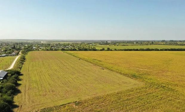 ¿Sube el precio de la hectárea? La reacción del mercado de campos al cambio de clima y contexto