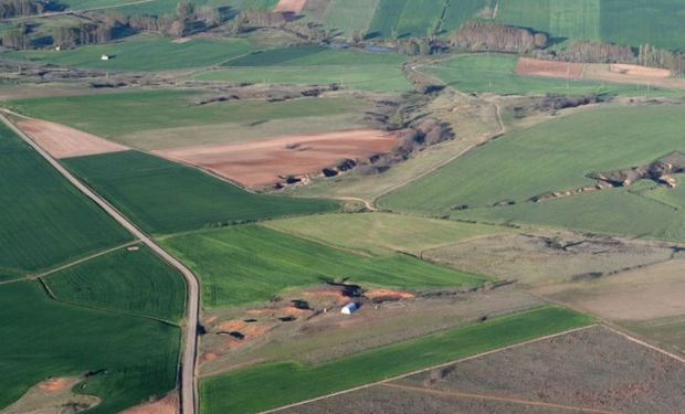 Valores de la hectárea cultivable se disparan.
