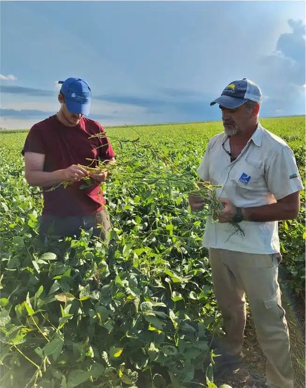timac agro 2025