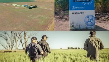 Rompe el paradigma: la estrategia para el trigo que suma hasta 15% de rinde y la experiencia de un productor que tuvo "resultados notables"