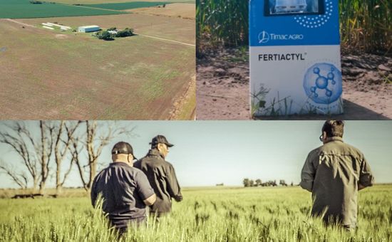 Timac Agro mostró en A Todo Trigo resultados con mejoras en rendimiento a partir de estrategias de bioestimulación; una estrategia que no solo corrige estrés sino que también potencia al cultivo