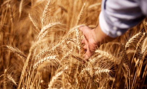 Timac Agro presente en el evento de trigo más importante de la Argentina
